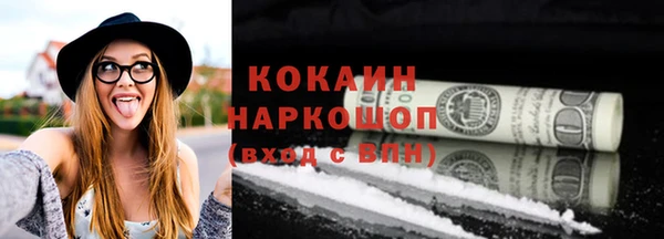 стаф Аркадак