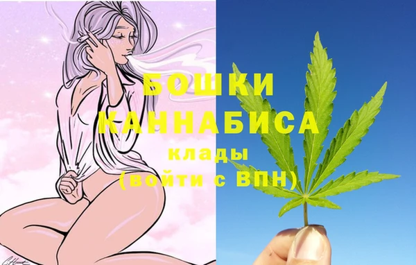 трава Балахна