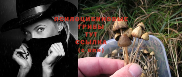 ГАЛЛЮЦИНОГЕННЫЕ ГРИБЫ Балабаново